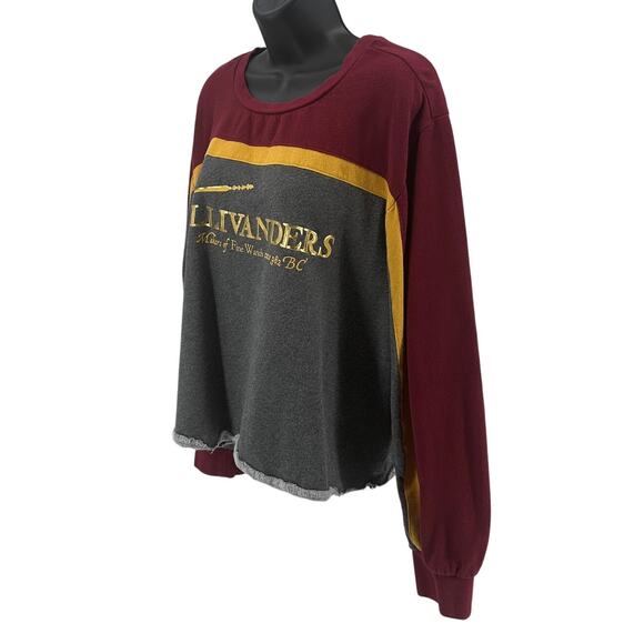 Harry Potter Sweatshirt WMNS Size 3 Grey Maroon Colorblock Crew Neck Soft Wizard - Picture 4 of 7
